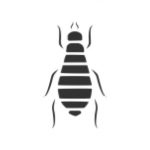 bedbugs - country life pest control